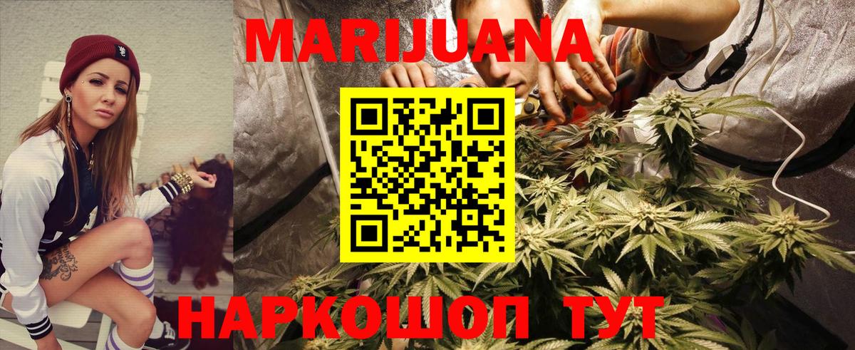 Бошки марихуана планчик  Шишки марихуана индика  Вход с VPN  Конопля THC 21%  Бошки марихуана сатива  Гай 